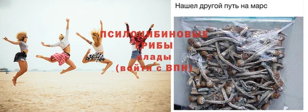 амф Балахна