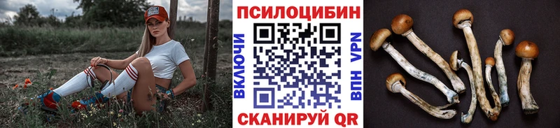 Галлюциногенные грибы GOLDEN TEACHER  Купить закладки  Богучар 
